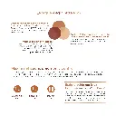 tetra pro-17.webp
